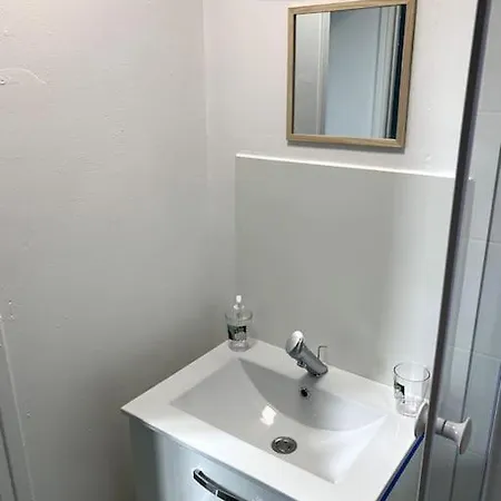 Le Botanique A 250m De La Gare,15 Min De Lille *