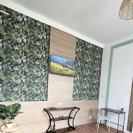 Le Botanique A 250m De La Gare,15 Min De Lille